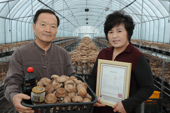 Organic mushrooms making big profits [첨부 이미지1]